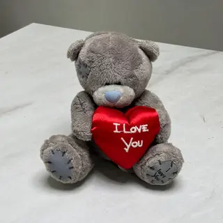 Teddy mini 2