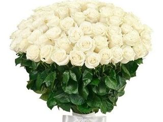 Букет "101 РОЗА WHITE"