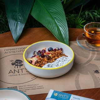 Чиа с йогуртом и гранолой