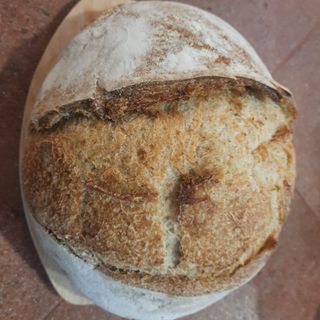 Бездрожевой тартин