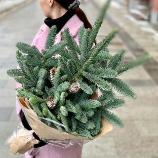 Нобилис в крафте 