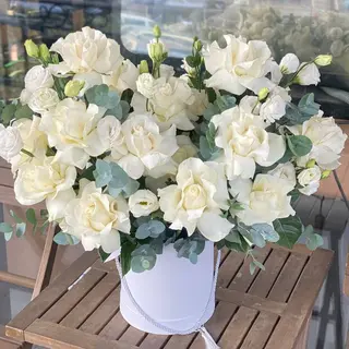 ПЕЛЕНА