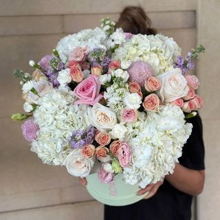 СВЕТЛЫЙ СОН