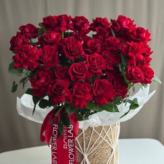 АЛЫЕ ПАРУСА