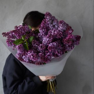 АПРЕЛЬСКАЯ СИРЕНЬ