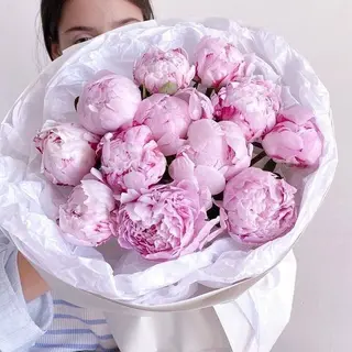 АИША