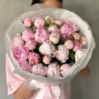 ПИОН ЛАЙТ