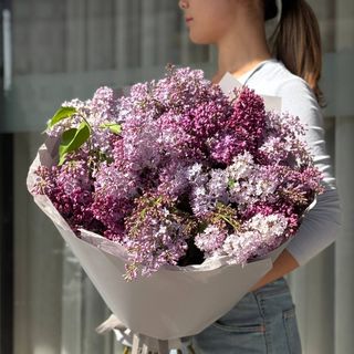 ШЕПОТ СИРЕНИ