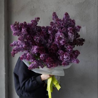 ЦВЕТЕНИЕ ДУШИ