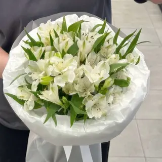 "Белый сад"