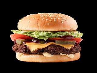 Бургер с говядиной (250г)