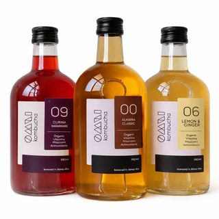 Комбуча OMNI 350 ml