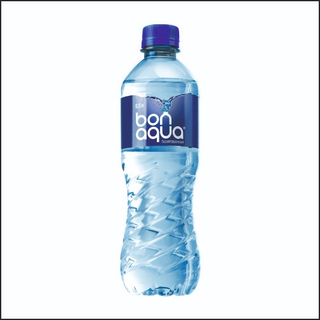 Вода с газом (0.5л)