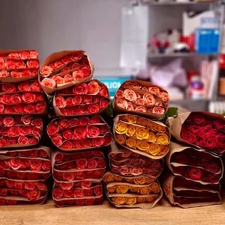 Розы в пачках 15 шт