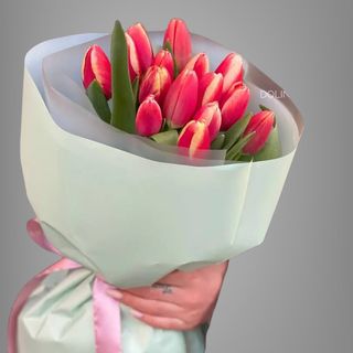 15 красных тюльпанов с белой окантовкой