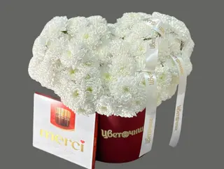 Хризантема с "Merci"