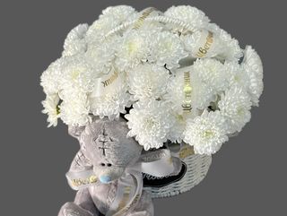 Хризантема с мишкой "Тедди"