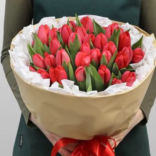 35 красных тюльпанов