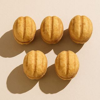 Толстая белка