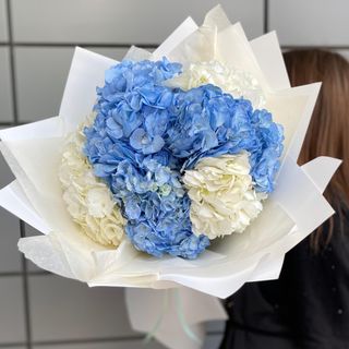 Пышная гортензия