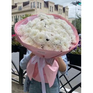 Пышная хризантема