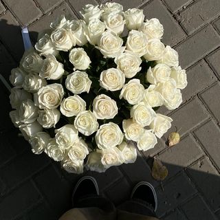 Белые розы в кашпо