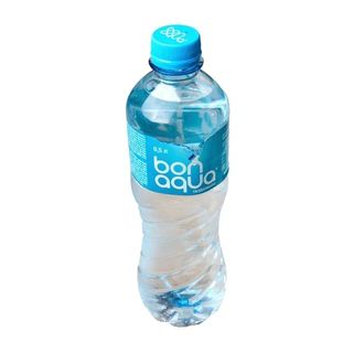 Вода негазированная (500 мл.)