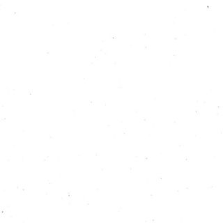 Букатини с соусом биск и креветками