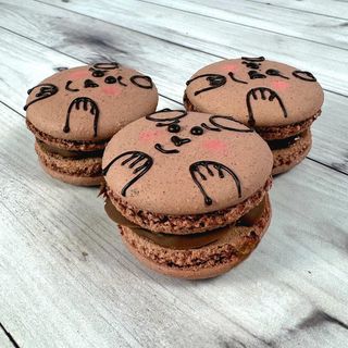 Макаронс Мишка