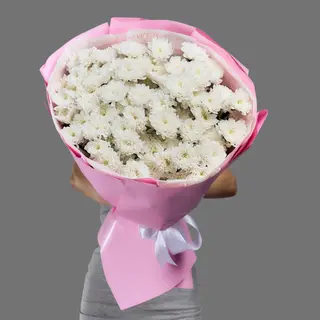 Букет из 15 кустовых хризантем 
