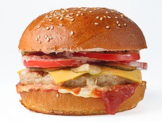 Бургер "Франк" (310г)