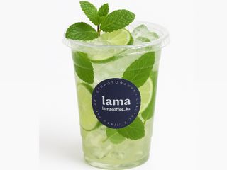 Мохито (450мл)