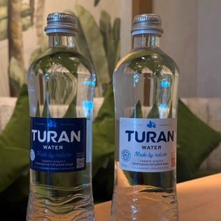 Вода Туран 0,5
