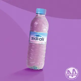 Sidi Ali 