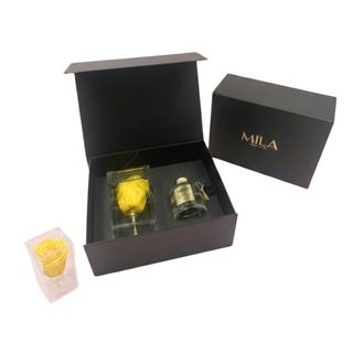 Coffret Single Stem Diffuseur