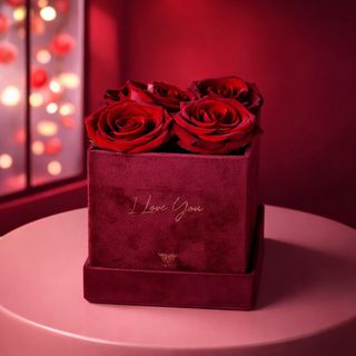 Velours d’Amour – Roses Rouges | Édition Saint-Valentin 2026