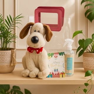 Set Sachet Gromit Surprise