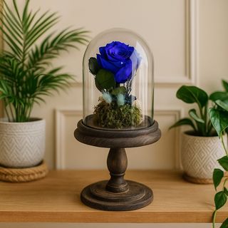 Cloche Prestige Éternel Bleu