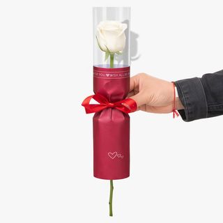 Rose Individuelle Blanche – Emballage Spécial Rouge