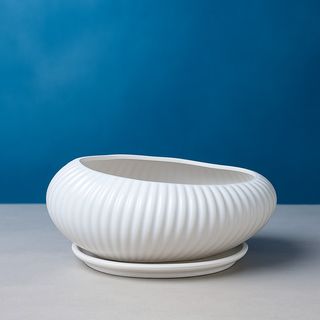 Vase Coquille Blanche 12cm*25cm