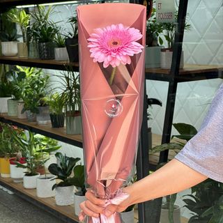 Bouquet Gerbera Rose