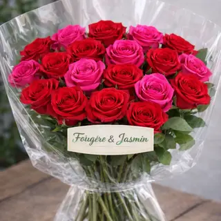 Passion fuschia