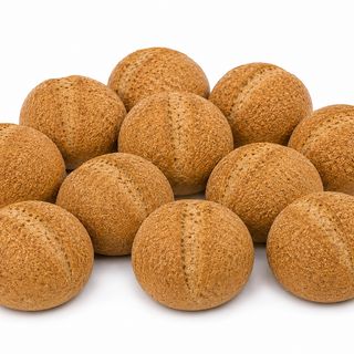 Pack de 10 Pains Complets 120 g