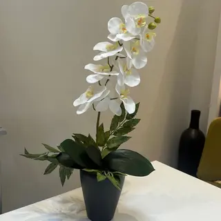 Orchidée artificielle 