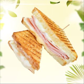 toasts au dinde fromage