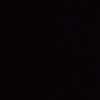 Salade Avocat aux Crevettes