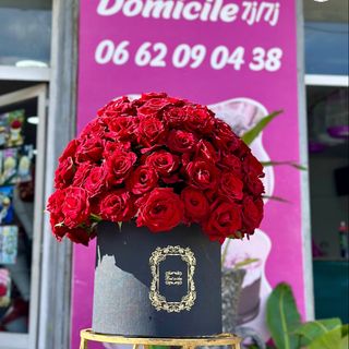 Élégance Noire  Max