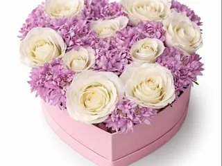 Pink Deluxe (L)