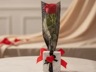 Rosa 2