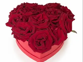 Flowerheart S